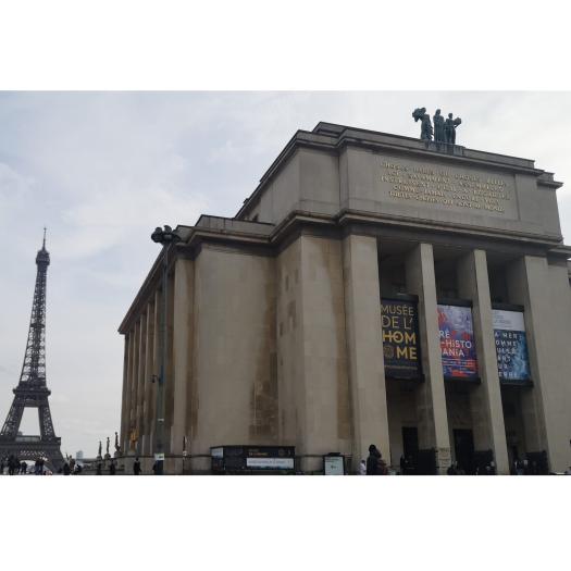 Musée de l'Homme - Fronton