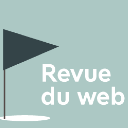 2koaj1bprs2f2-jhkbkb0g-revue_du_web.png