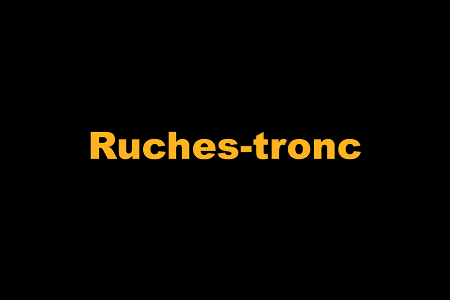 r-ruches-tronc.png