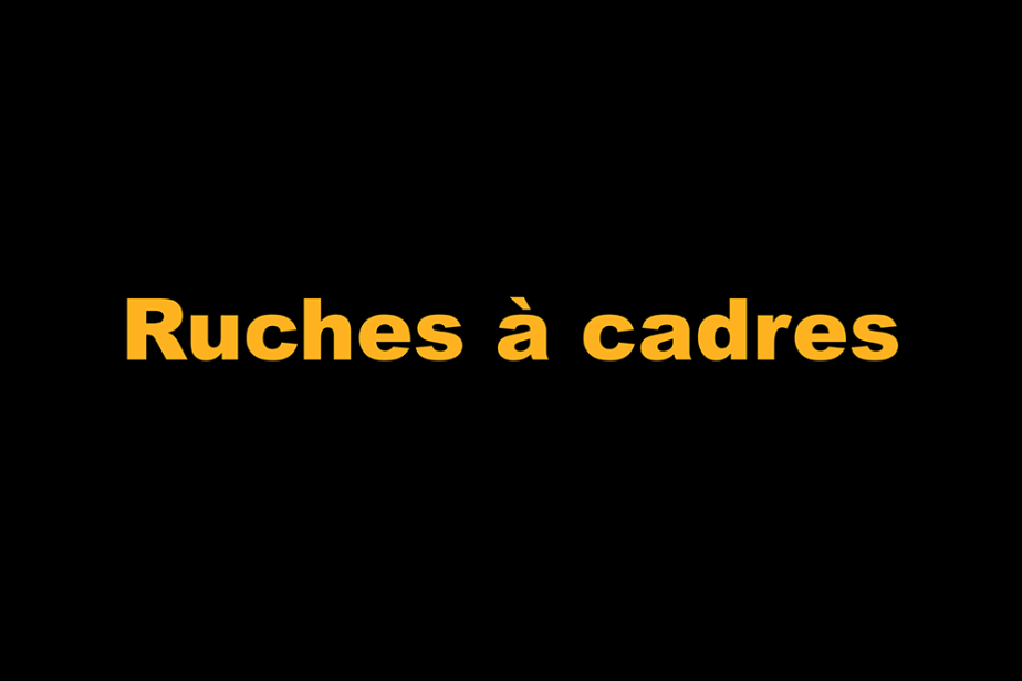 r-ruches_a_cadre.png