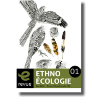 ethno-01.png