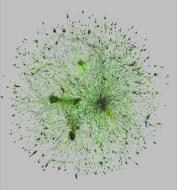 network_heart.jpg