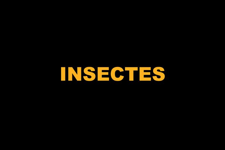 i_-_0a_-_titre_insectes.jpg